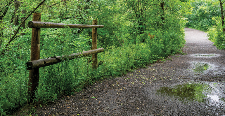 Medway Valley trail