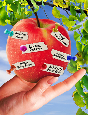 Illustration of a hand picking an apple from a tree with names of apple-picking locations pinned to it