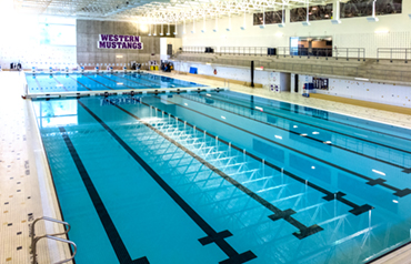 Photo of an indoor swimming pool at Western University's Fitness Centre.